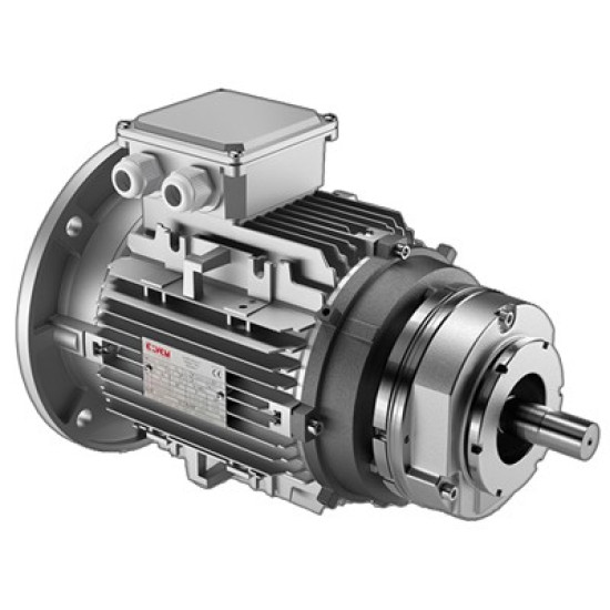 Fékes motor - 5,5kW - 4P-1400 1/min.-B5 Mfék=90Nm, DC fesz., 230/400V-50Hz IP55
